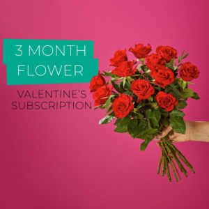 Valentine’s 3 Month Flower Subscription
