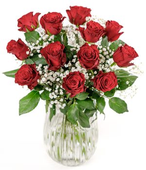 12 Luxury Red Roses