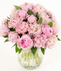 Perfect Peonies